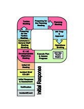 initial response flow chart planning p