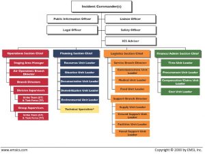 organizational chart